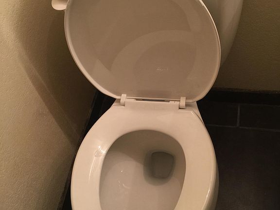 Brand New  toliet