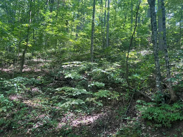 334 High Ridge Rd #10, Franklin, NC 28734
