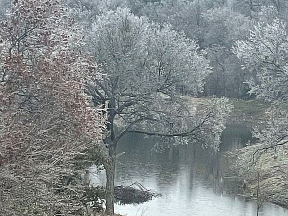 5th image of 226 Freedmon Dr