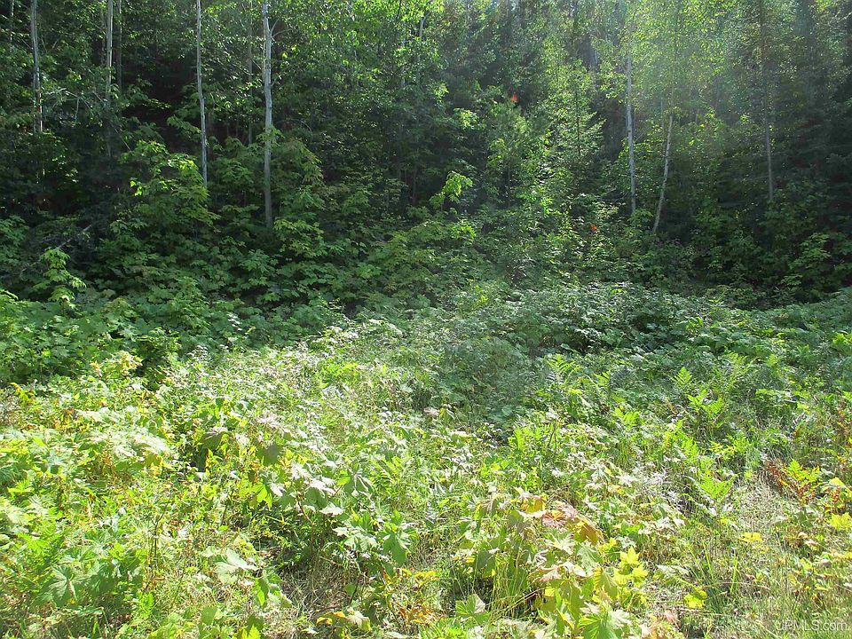 4 Bailey Shrs D, Mohawk, MI 49950 Zillow