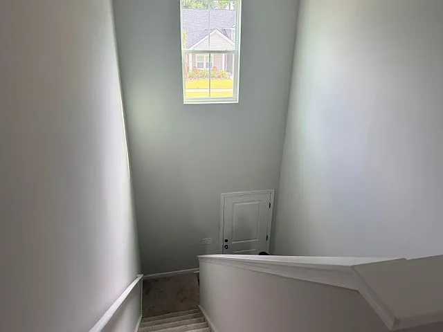 204 Pine Crest View Dr — Photo 21