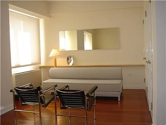 Rented by Furumoto Realty of New York City Inc | media 38