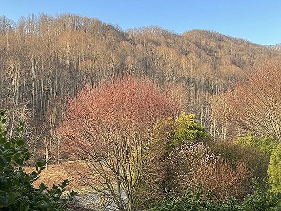 2nd image of 1450 Big Windfall Rd