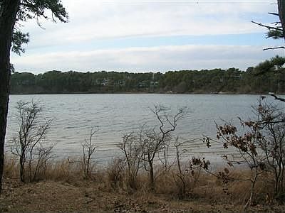 White Pond