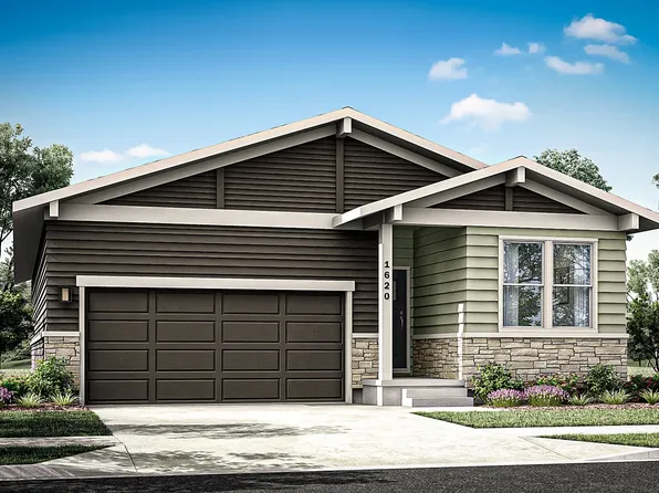913 Trumpet Ln, Windsor, CO 80550