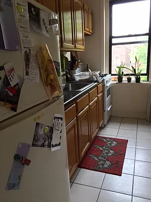 Rented by Manhattan Flats | media 29