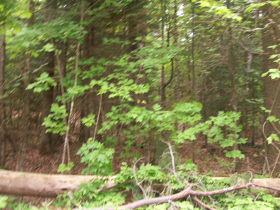 2nd image of Molly Nye Road