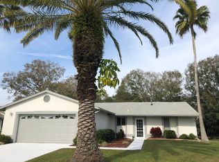 11207 Scenic View Ln, Orlando, FL 32821