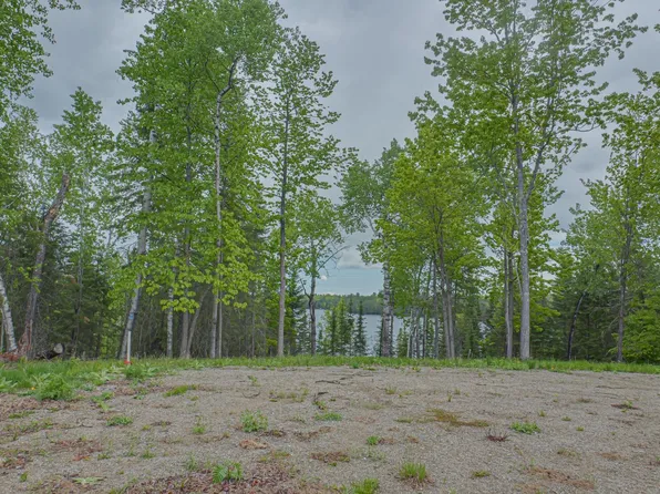 53550 Little Bear Trl, Bigfork, MN 56628
