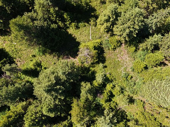 5th image of 4577 Quartz Creek Rd