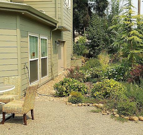 back yard garden area