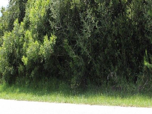 2nd image of 35 La Mancha Dr