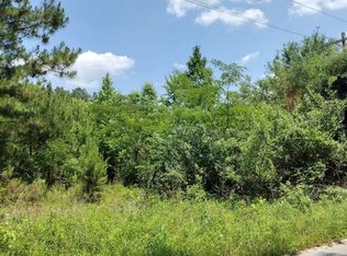 LOT Two Meagen Ln, Manning, SC 29102
