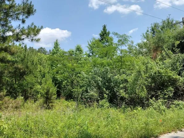LOT Two Meagen Ln, Manning, SC 29102