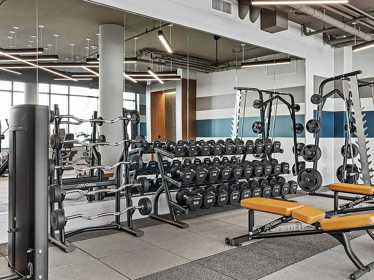 Your lift, your pace_premium free weights for every routine.