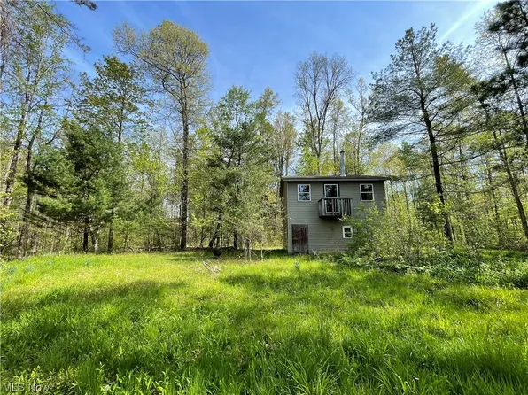 Montgomery Rd, Orwell, OH 44076