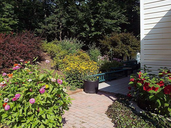 Garden in Midsummer