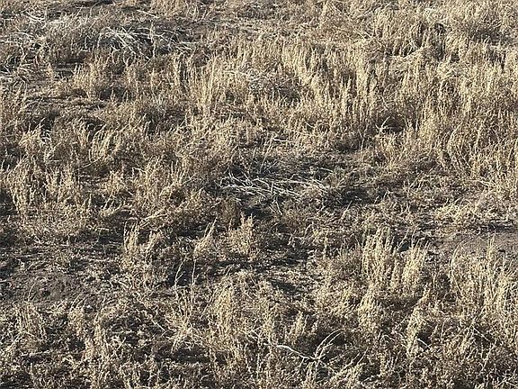 3rd image of LOT 7 San Luis Valley Ranches