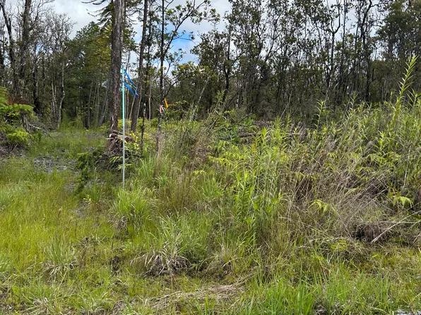 Noe Kuahiwi Rd Lot 30, Volcano, HI 96785