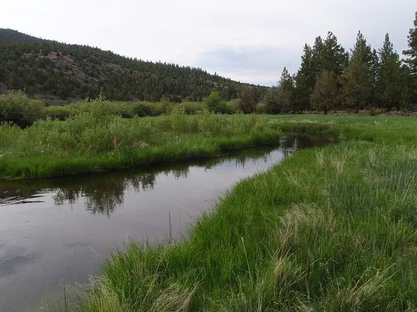 LOT 68 Mallard Rd, Macdoel, CA 96058