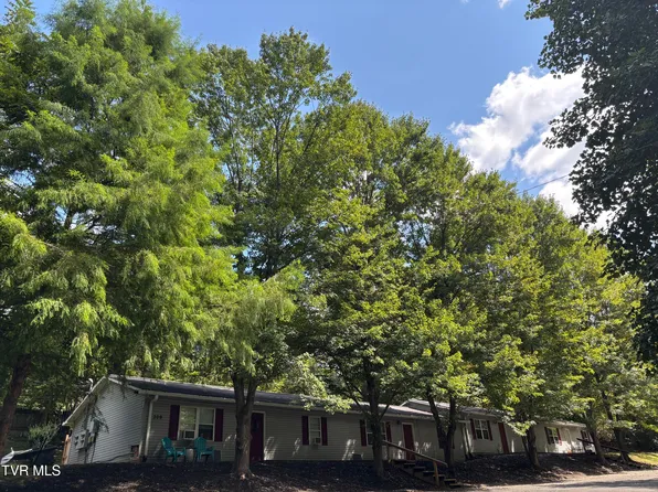 209 Cemetary Ln, Jonesborough, TN 37659