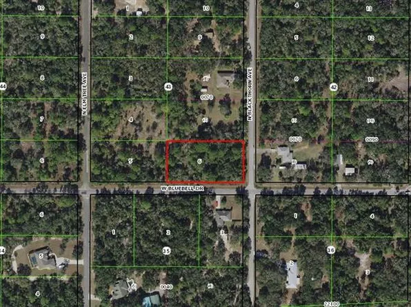 8352 N Blackthorn Ave Lot 6, Crystal River, FL 34428