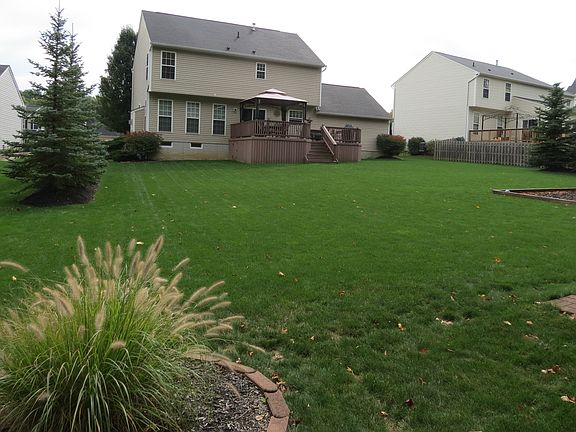 Huge backyard