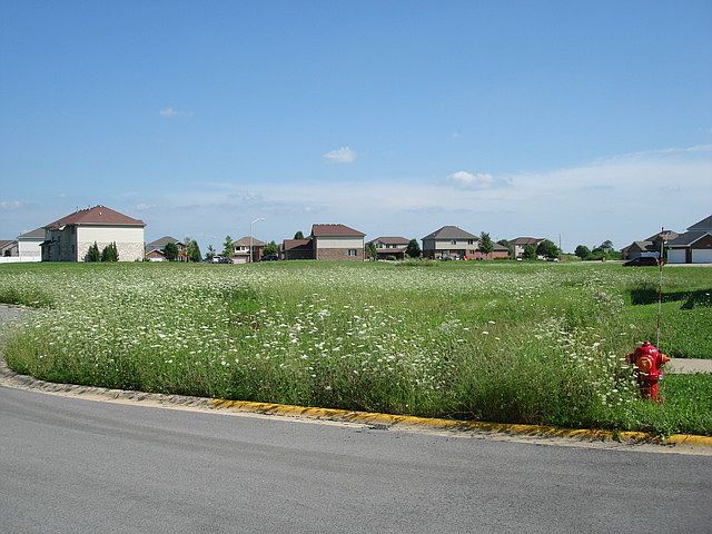 2nd image of 4967 W Cardinal Ct