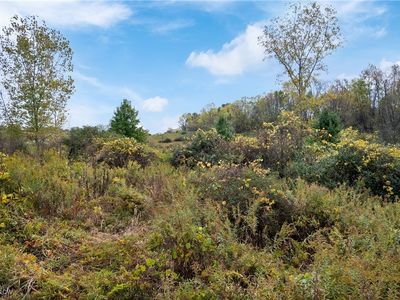 2754 Millersburg Rd, Wooster, OH, 44691