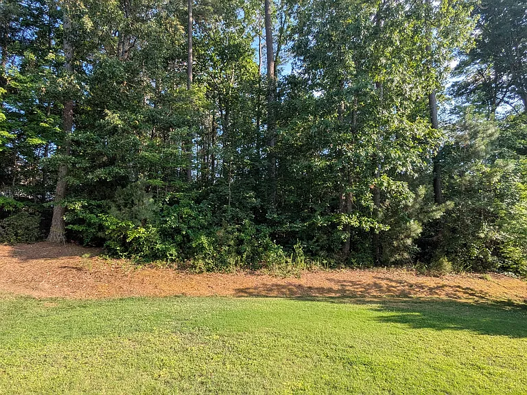 Backyard woods