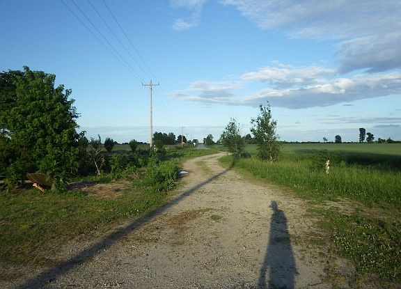 3rd image of 1541 Highway N