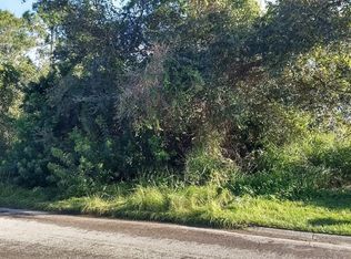 123 Ormond Ct, Sebastian, FL 32958