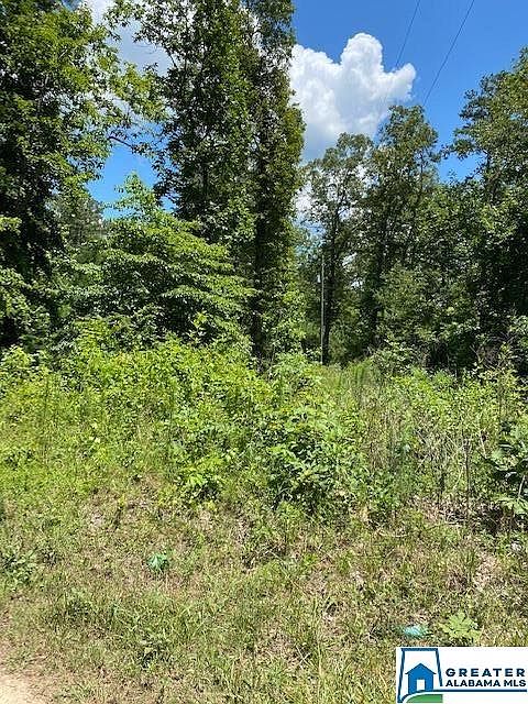 2nd image of 250 Cobb Brazeel Rd
