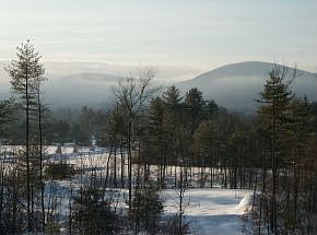 4th image of 57 Parsons Dr