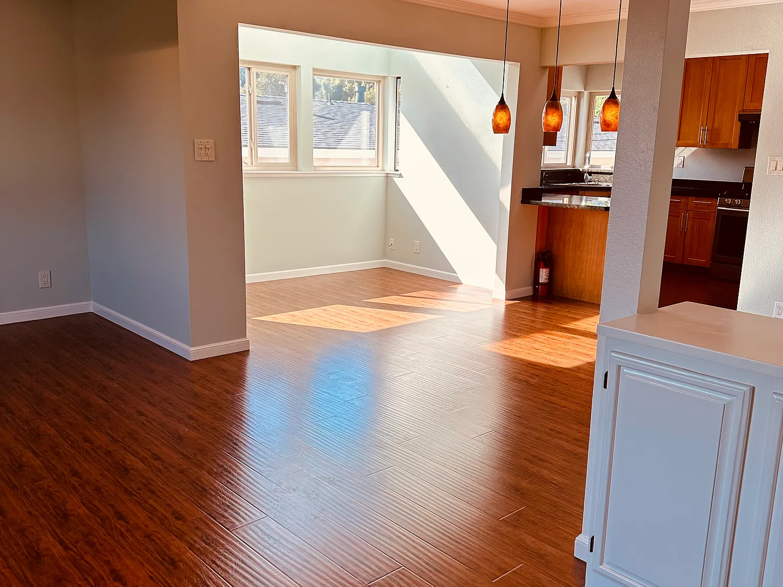 2 bed, 1250 sqft, $4,500 — Photo 4