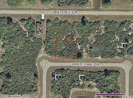 3rd image of 112 White Pine Dr