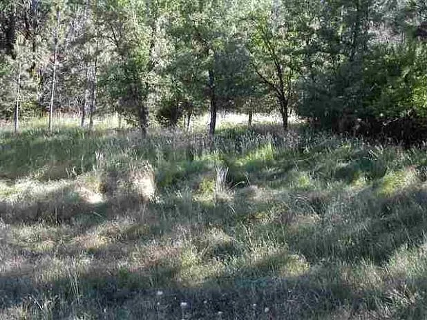 16802 Silver Dr S photo 1