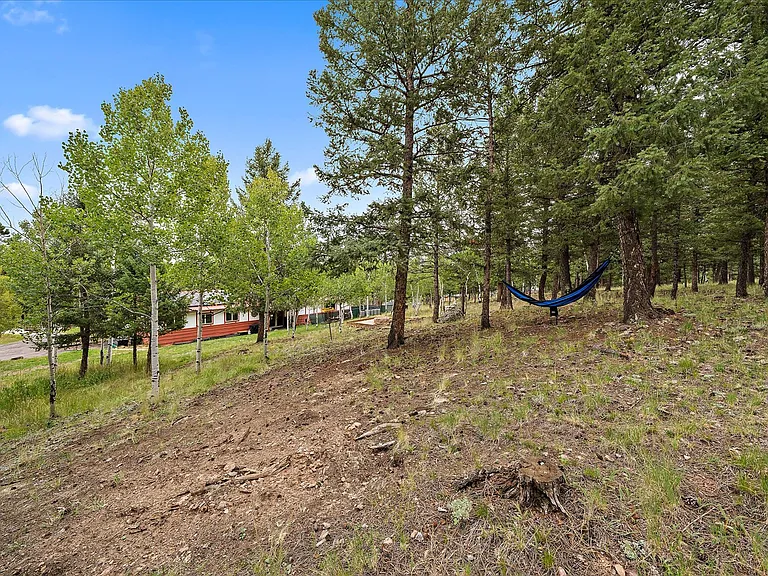 356 Yellow Pine Dr — Photo 30
