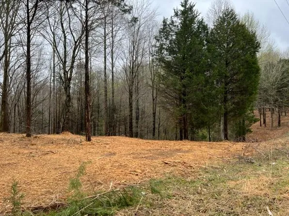 LOT 2 Willow Grove Hwy, Allons, TN 38541