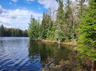 Acres On Schutte Rd #1.02, Watersmeet, MI 49969