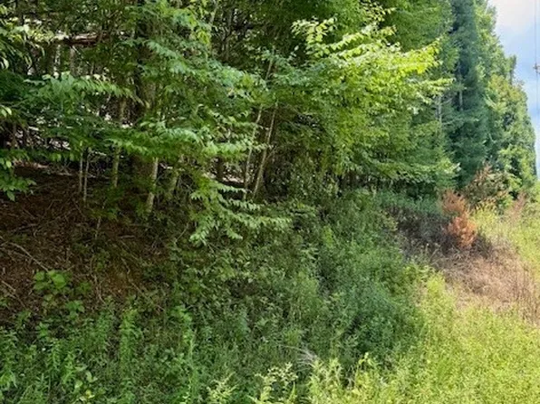 TBD Chestnut Creek Road, West Jefferson, NC 28694