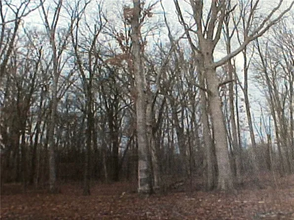 LOT 13 Riverwood Ct, Danville, IL 61834