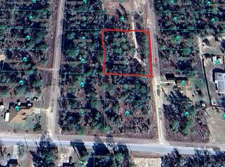 NE 153rd Ct LOT 4, Williston, FL 32696