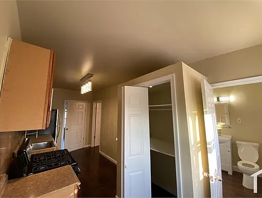 1 bed, 450 sqft, $1,250 — Photo 3