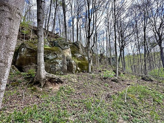 3rd image of Price Hollow Rd