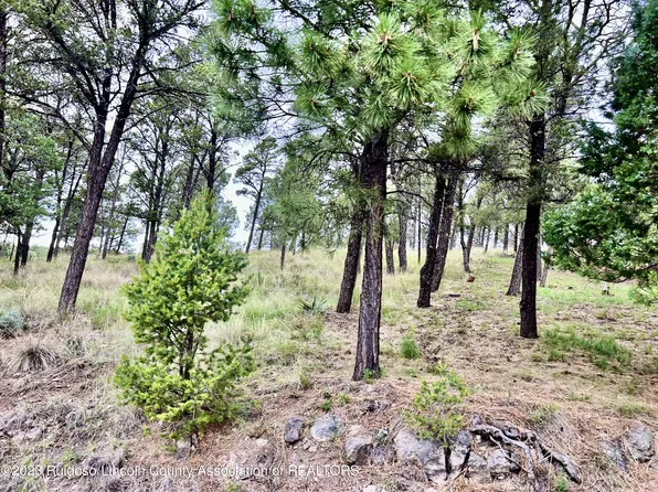 205 Hidalgo St, Ruidoso, NM 88345