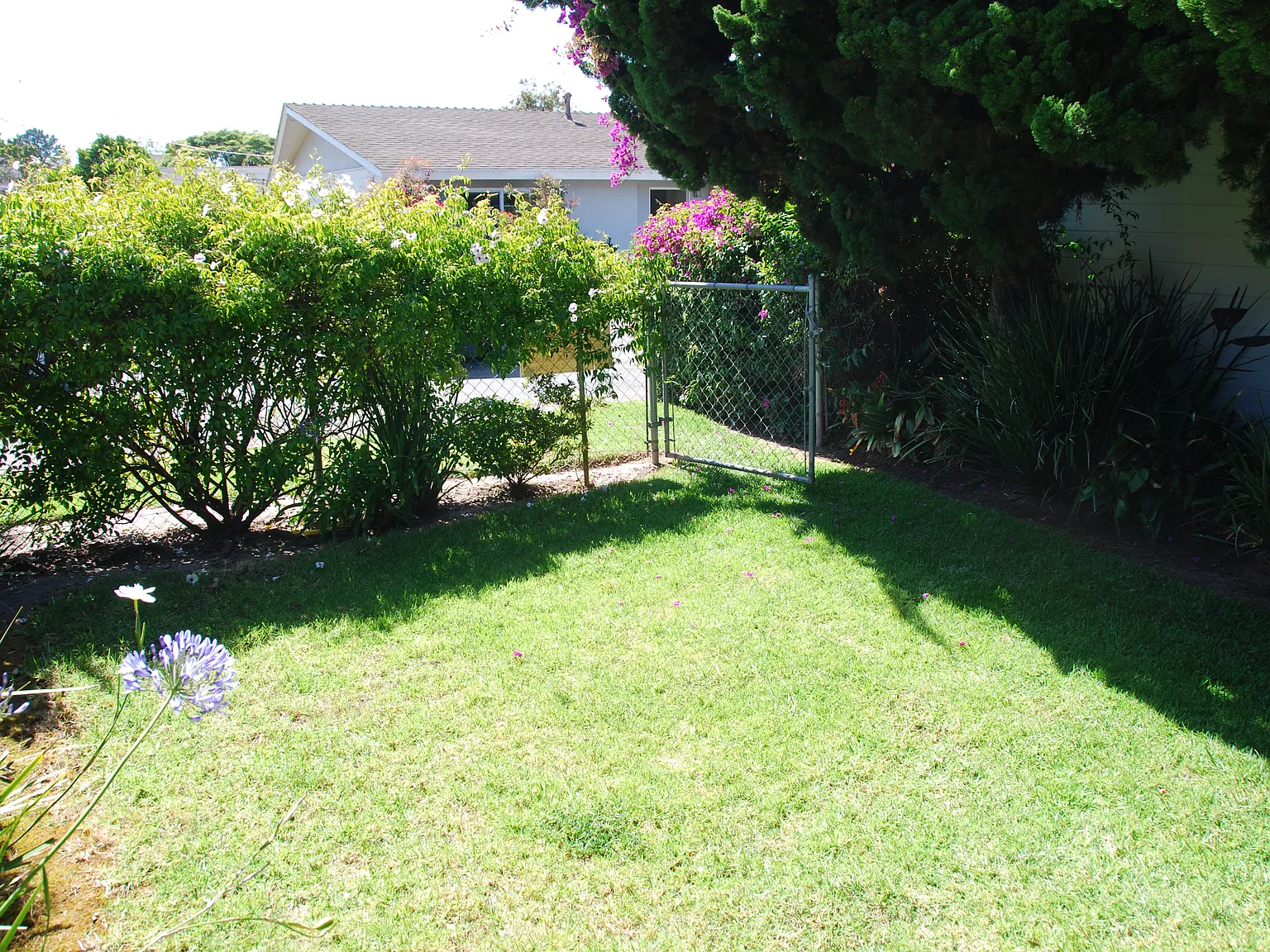 Private Front Yard