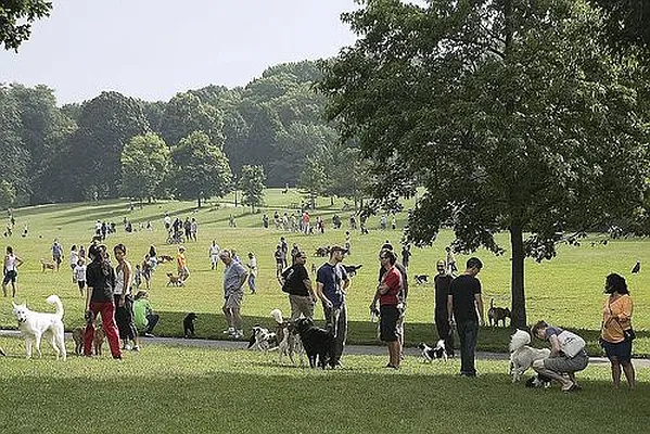 Rented by Corcoran | media 1