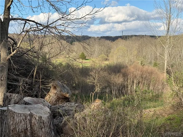 0 Hubbard Rd, East Aurora, NY 14052