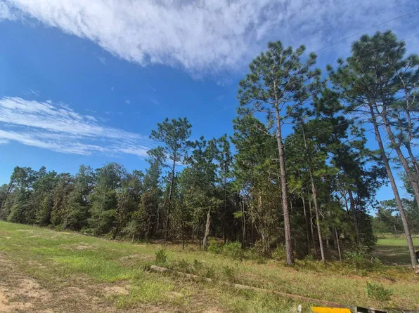114 Franklin Dr, Hawthorne, FL 32640